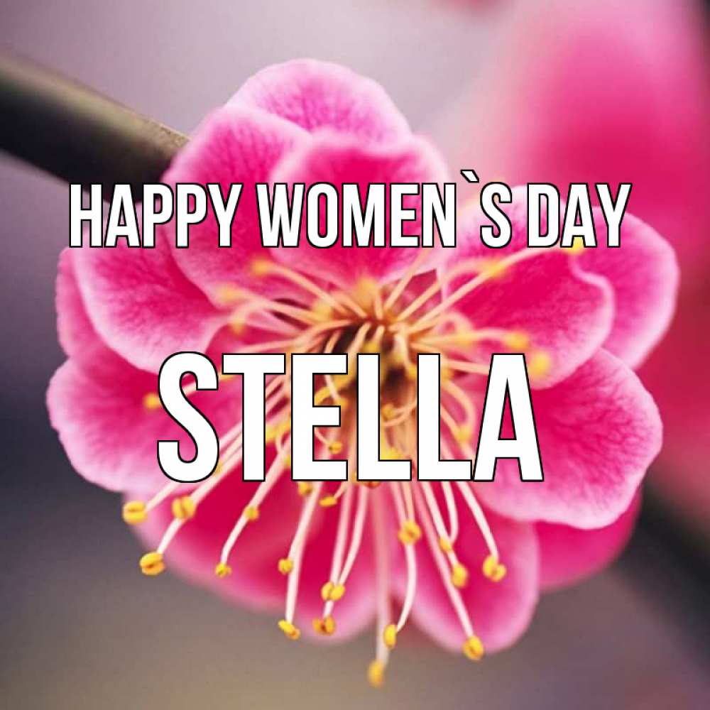 Greetings card с именем, Stella happy women`s day цветы Greetings with text for free download 